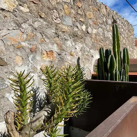 The Olive Retreat By Interhome *
