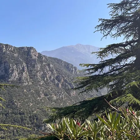 بيت للعطل The Olive Retreat By Interhome *